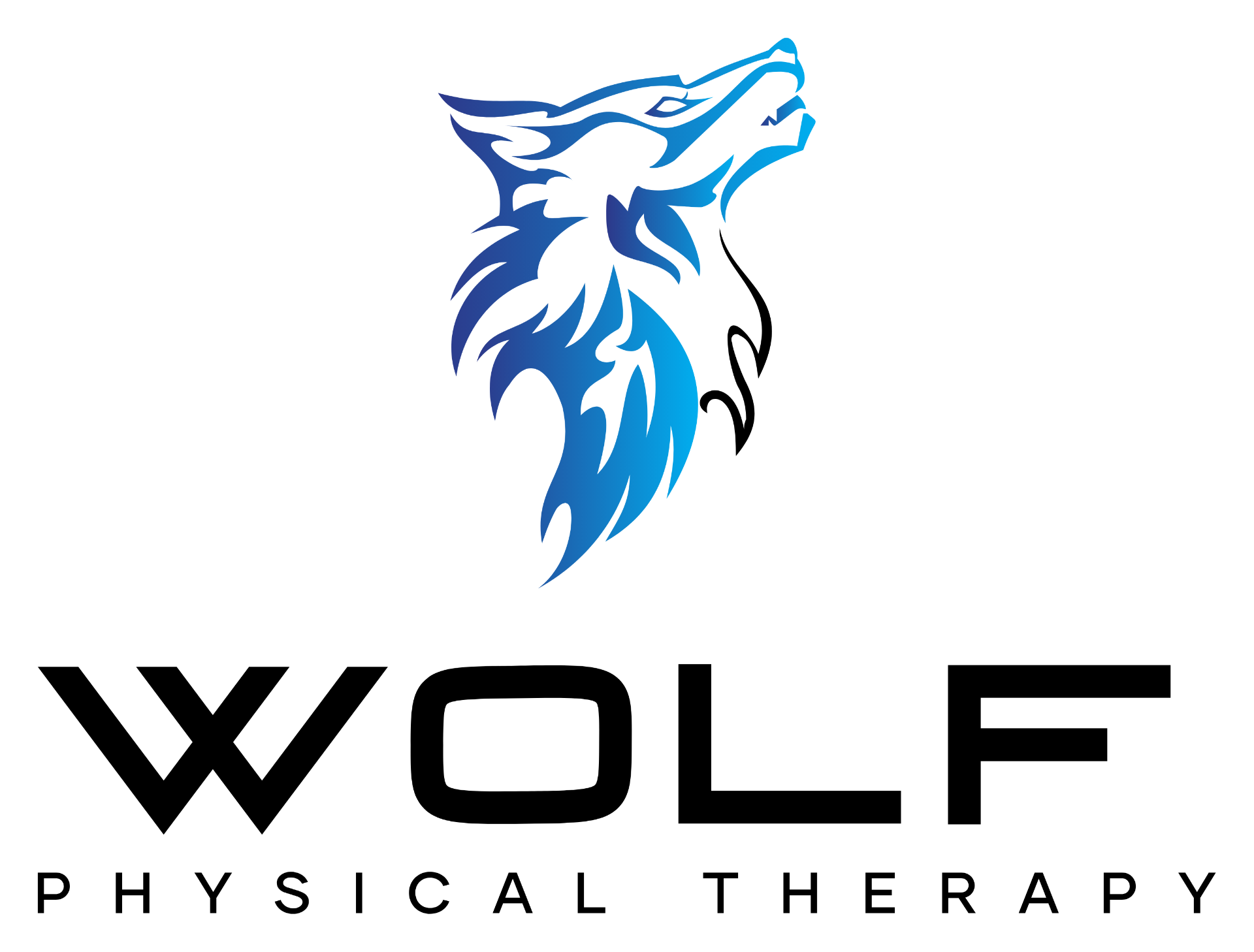Wolf Physical Therapy